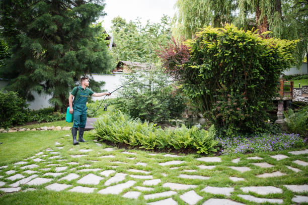 Best Best Pest Control Companies  in Staunton, IL
