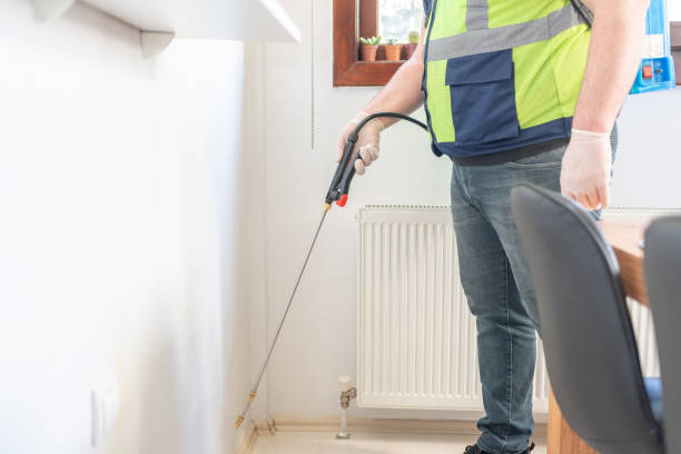 Best Mosquito Control Services  in Staunton, IL
