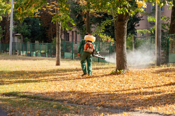 Best Flea Control Services  in Staunton, IL