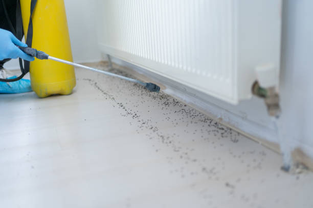 Best Commercial Pest Control Services  in Staunton, IL
